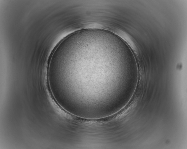 X0000097601000200803071426