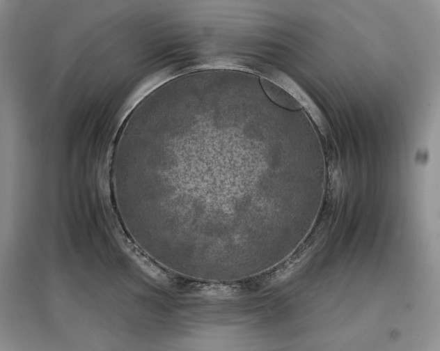 X0000097601002200803071426