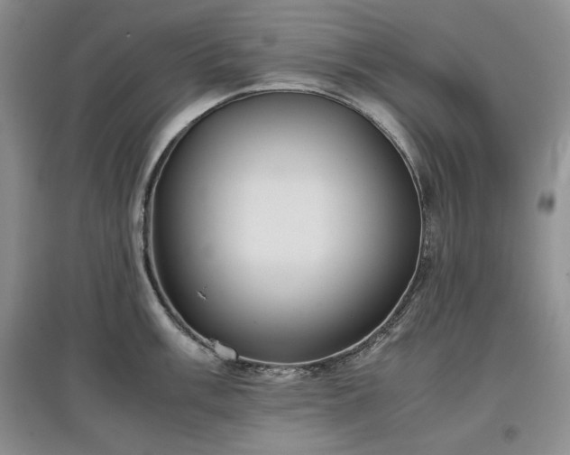 X0000097601003200803071426