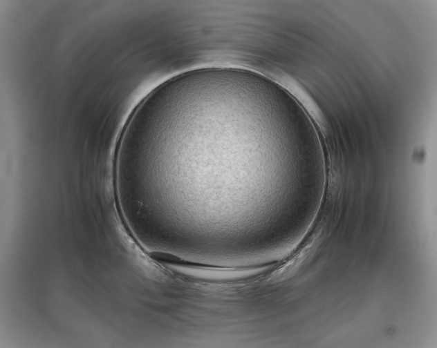 X0000097601004200803071426