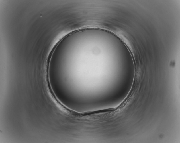 X0000097601005200803071426