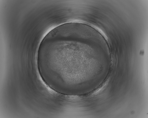 X0000097601007200803071426