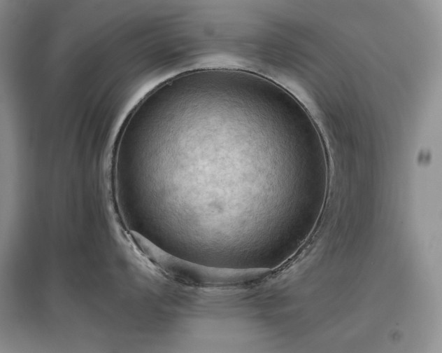 X0000097601008200803071426
