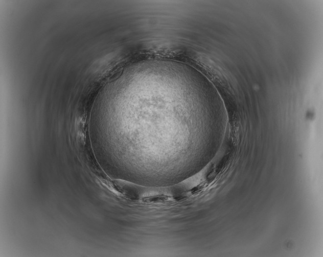 X0000097601010200803071425