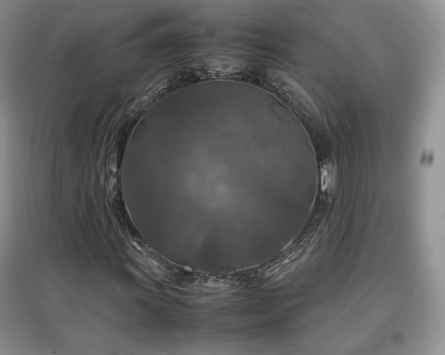 X0000097601011200803071425