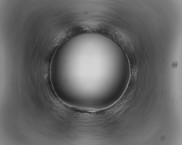X0000097601012200803071425