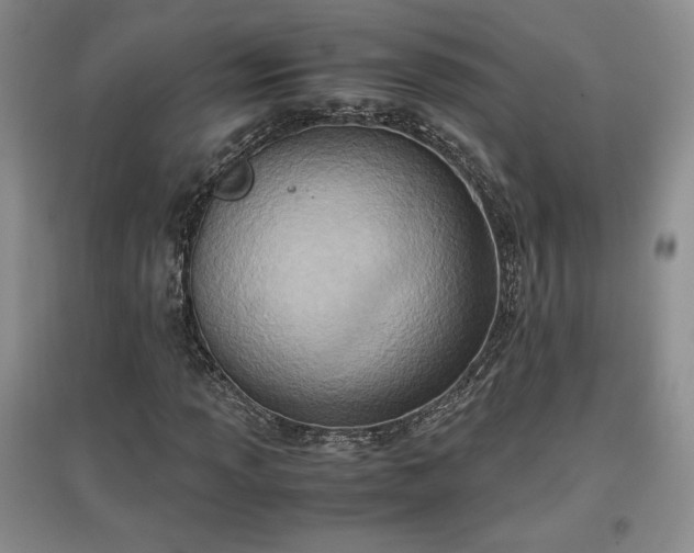 X0000097601013200803071425