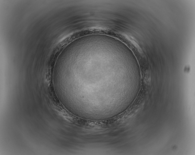 X0000097601015200803071425