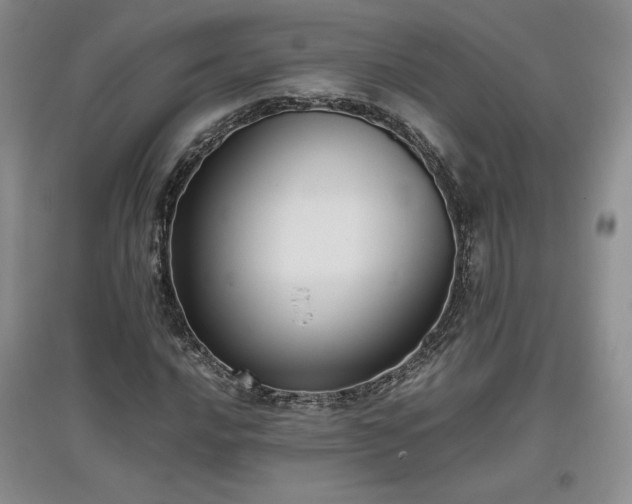 X0000097601016200803071425