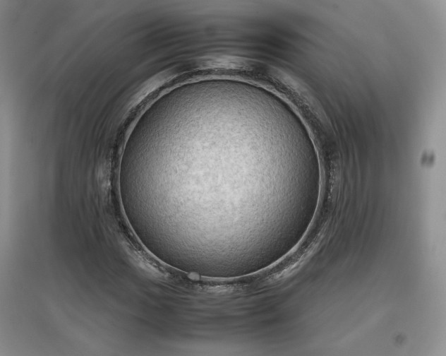 X0000097601017200803071425