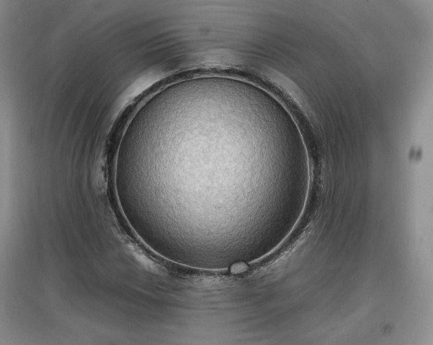 X0000097601018200803071425