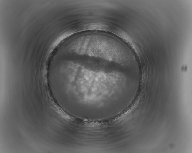 X0000097601019200803071425