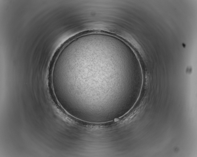 X0000097601020200803071425