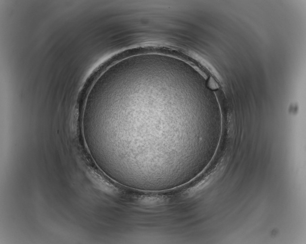 X0000097601021200803071425