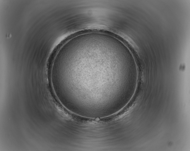 X0000097601022200803071425