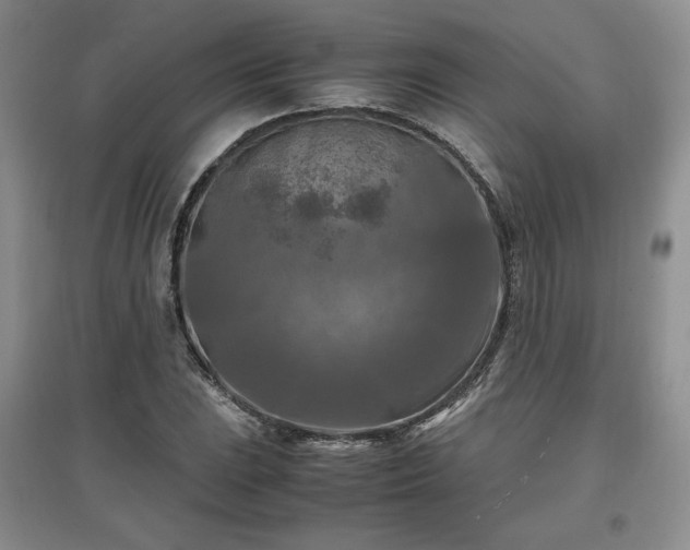 X0000097601023200803071425