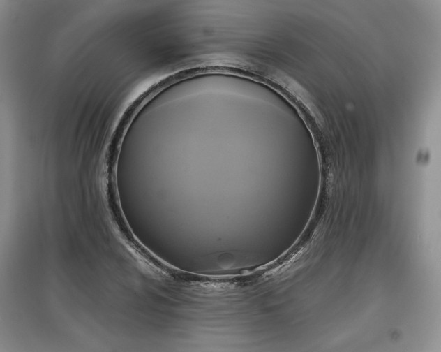 X0000097601024200803071425