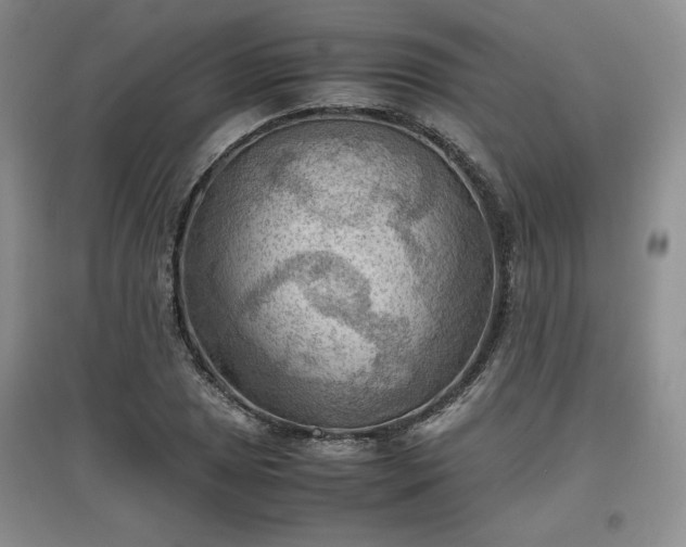 X0000097601025200803071425