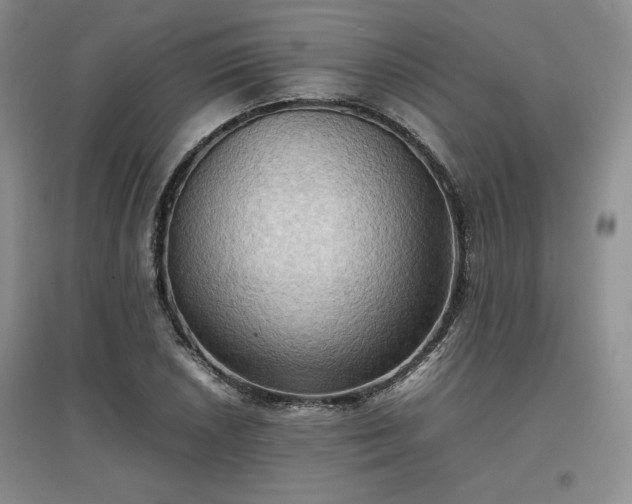X0000097601026200803071425