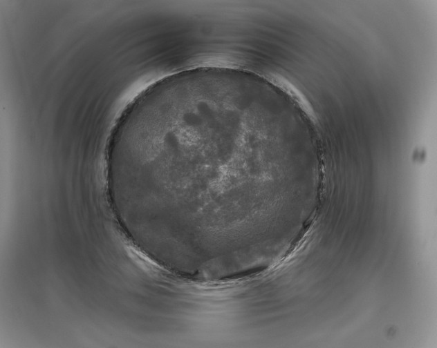 X0000097601027200803071425