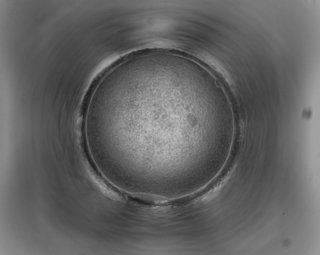 X0000097601029200803071425