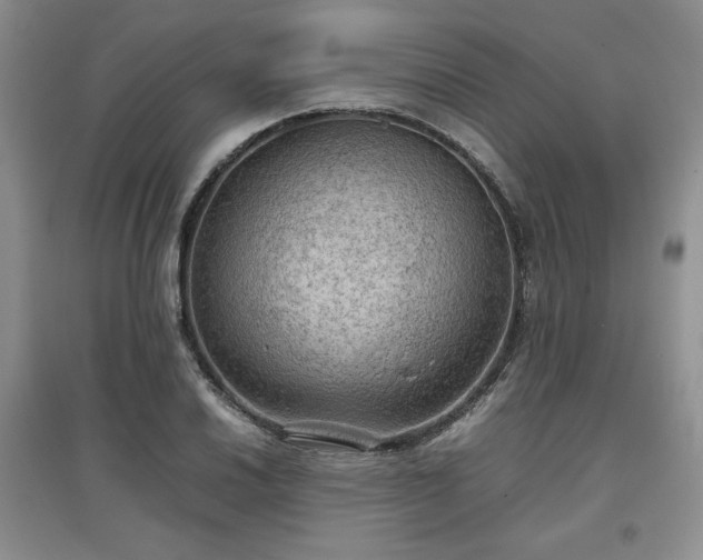 X0000097601030200803071425