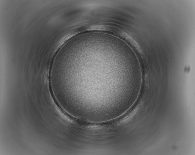 X0000097601033200803071425