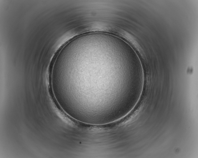 X0000097601034200803071425