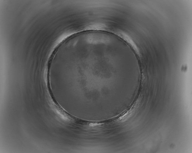 X0000097601035200803071425