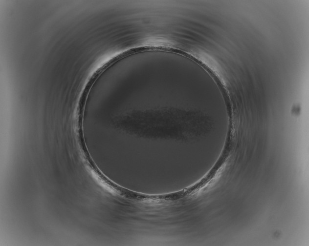 X0000097601037200803071425