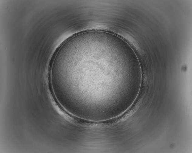 X0000097601038200803071425