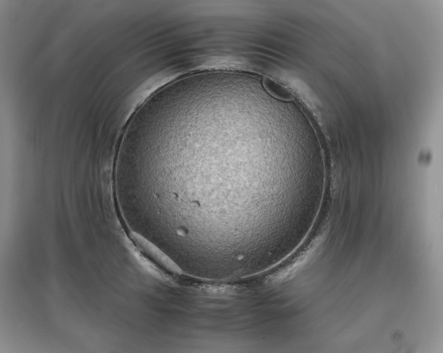 X0000097601041200803071425