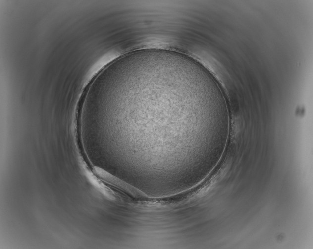 X0000097601042200803071425