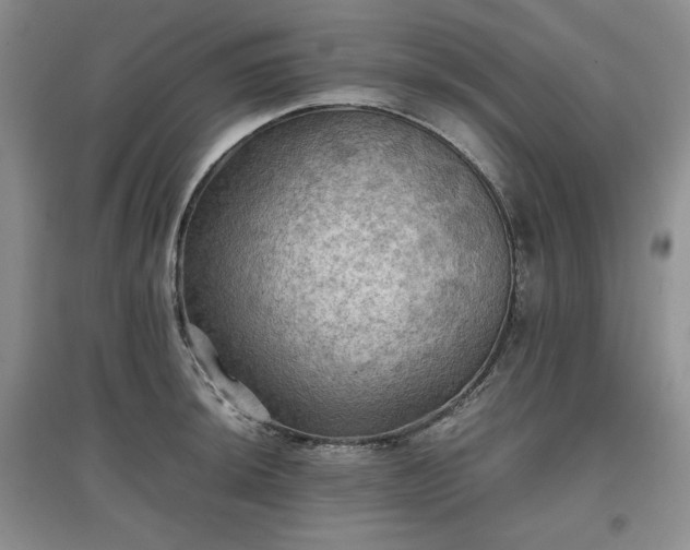 X0000097601044200803071425