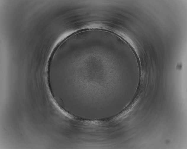 X0000097601045200803071425