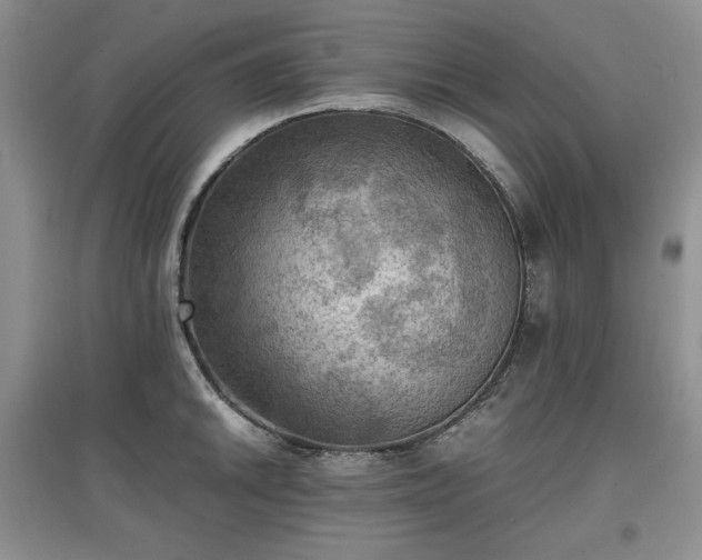 X0000097601046200803071425