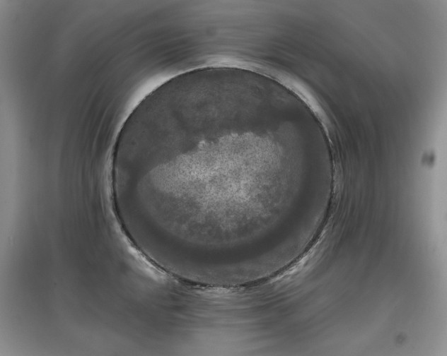 X0000097601048200803071426
