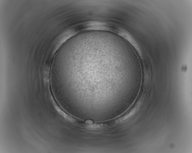 X0000097601049200803071426