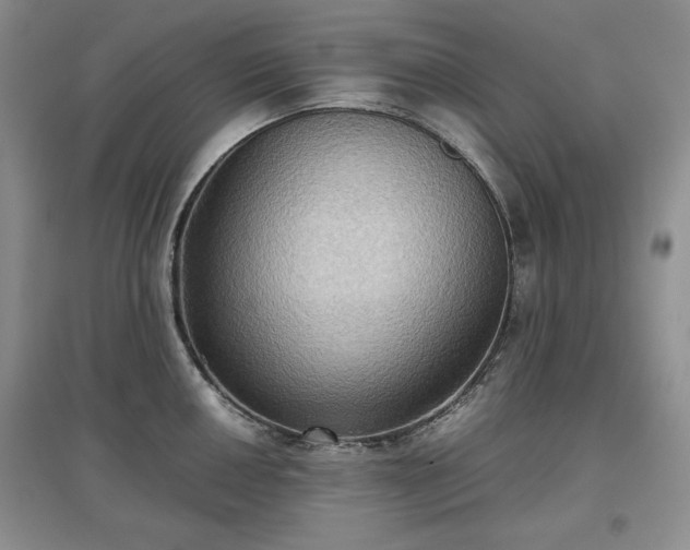 X0000097601050200803071426