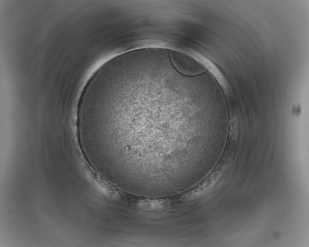 X0000097601051200803071426