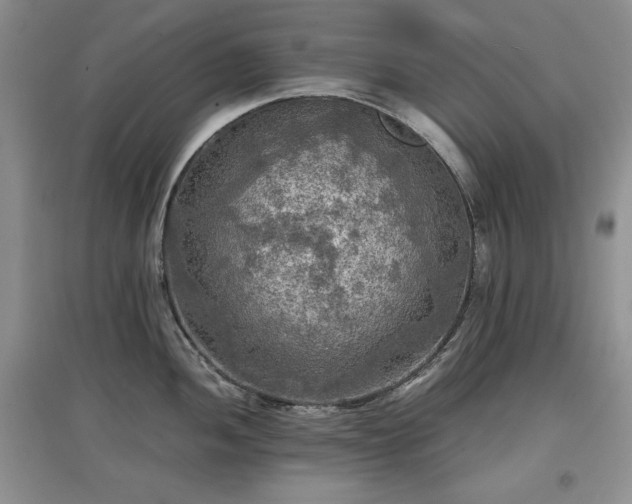 X0000097601052200803071426