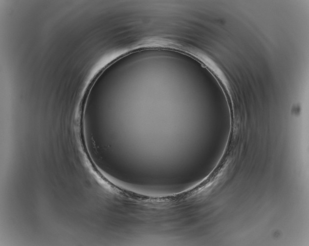 X0000097601053200803071426