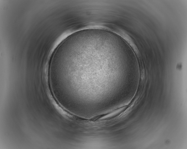 X0000097601054200803071426