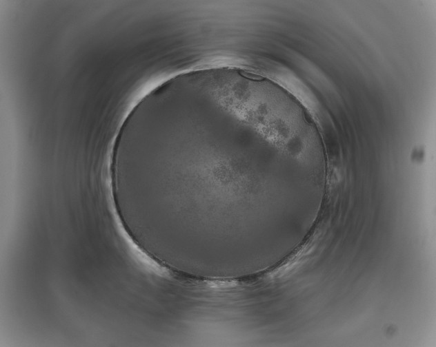 X0000097601055200803071426