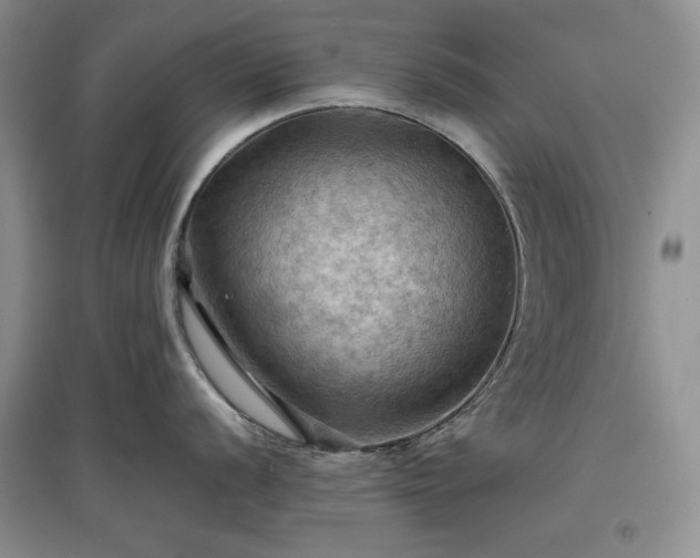 X0000097601056200803071426