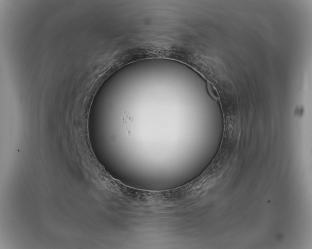 X0000097601057200803071425