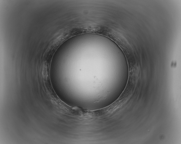 X0000097601058200803071425