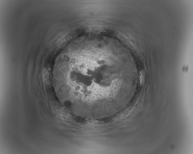 X0000097601059200803071425