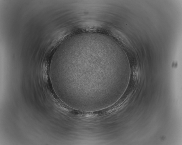 X0000097601060200803071425