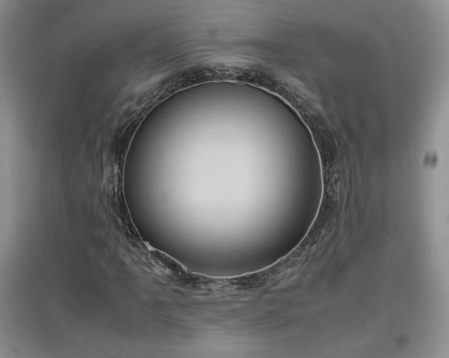 X0000097601061200803071425
